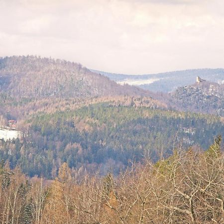 Willa "Sniezna Kopa"-Agroturystyka Pro Zdrowotna Villa Sosnówka Kültér fotó