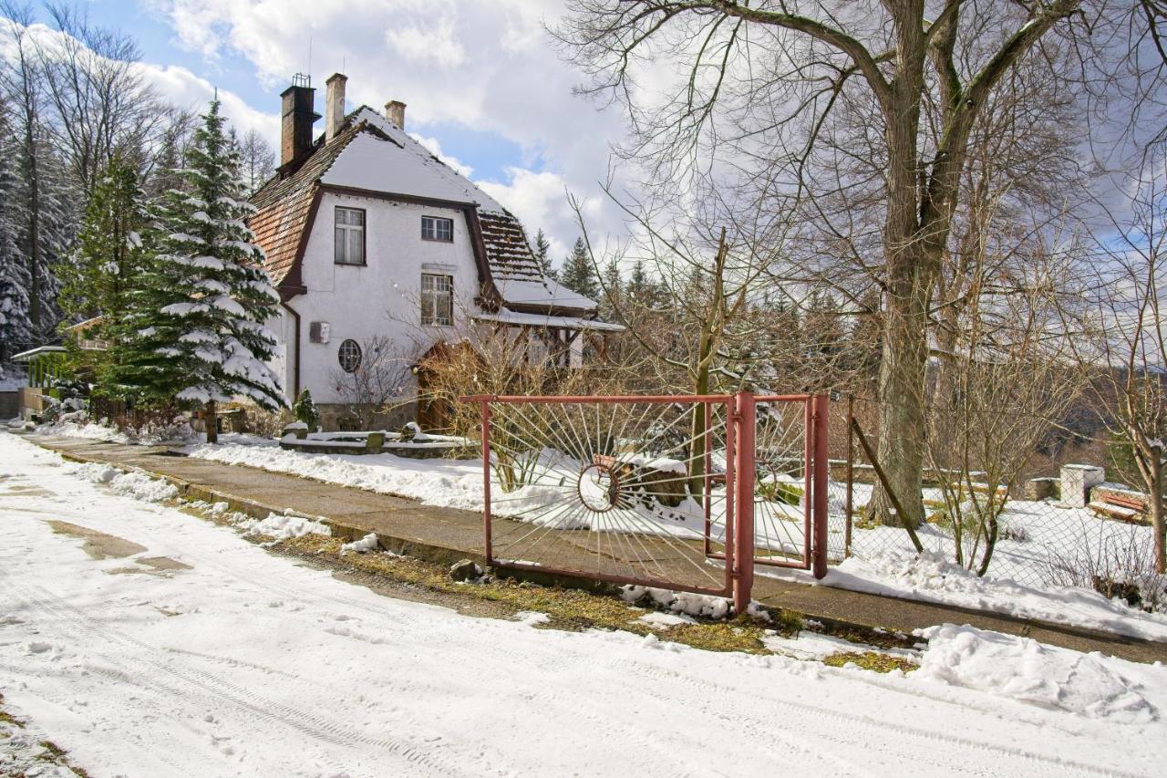 Willa "Sniezna Kopa"-Agroturystyka Pro Zdrowotna Villa Sosnówka Kültér fotó