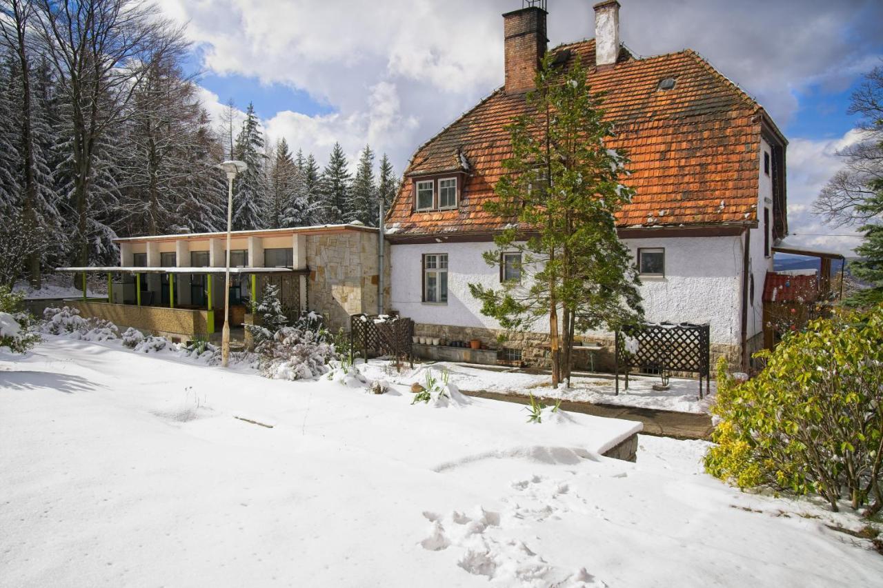 Willa "Sniezna Kopa"-Agroturystyka Pro Zdrowotna Villa Sosnówka Kültér fotó